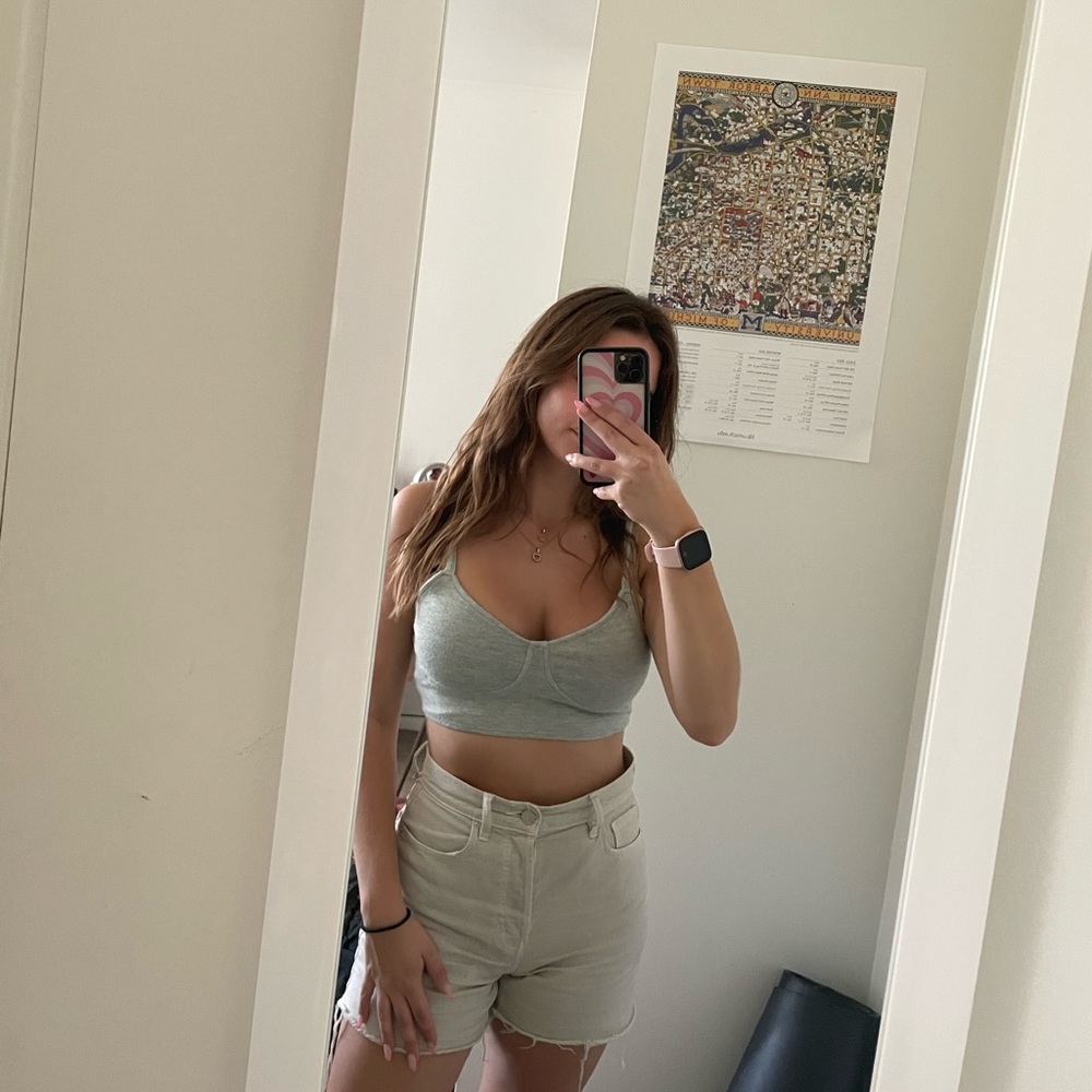 NWOT Zara Grey Cropped Top